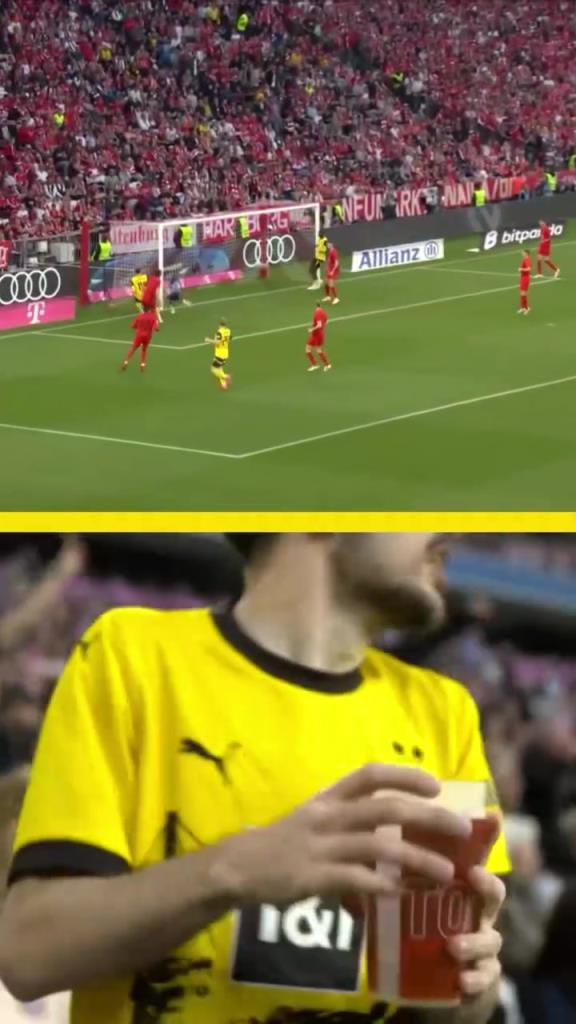 勇者無(wú)懼！這是真多特球迷！在拜仁球迷區(qū)一個(gè)人肆意慶祝！